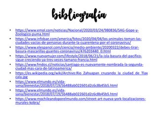 bibliografía
• https://www.emol.com/noticias/Nacional/2020/03/24/980836/SAG-Gope-y-
Zoologico-puma.html
• https://www.infobae.com/america/fotos/2020/04/04/los-animales-toman-las-
ciudades-vacias-de-personas-durante-la-cuarentena-por-el-coronavirus/
• https://www.elespanol.com/ciencia/medio-ambiente/20200322/debes-tirar-
basura-mascarillas-guantes-coronavirus/476203440_0.html
• https://www.nuevamujer.com/lifestyle/2018/06/21/la-isla-basura-del-pacifico-
sigue-creciendo-ya-tres-veces-tamano-francia.html
• https://www.fmdos.cl/noticias/santiago-es-nuevamente-nombrada-la-segunda-
ciudad-mas-cara-de-latinoamerica/
• https://es.wikipedia.org/wiki/Archivo:Rio_Zahuapan_cruzando_la_ciudad_de_Tlax
cala.jpg
• https://www.elmundo.es/vida-
sana/bienestar/2018/07/19/5b488ab022601d2c6c8b45b5.html
• https://www.elmundo.es/vida-
sana/bienestar/2018/07/19/5b488ab022601d2c6c8b45b5.html
• https://www.mochileandoporelmundo.com/street-art-nueva-york-localizaciones-
murales-kobra/
 