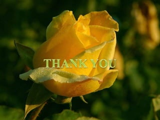 Eye Flourecein Angiography