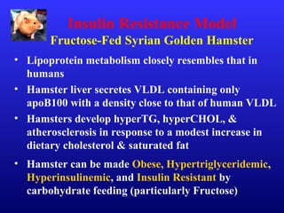 Insulin Resistance Model
Fructose-Fed Syrian Golden Hamster
• Lipoprotein metabolism closely resembles that in
humans
• Hamster liver secretes VLDL containing only
apoB100 with a density close to that of human VLDL
• Hamsters develop hyperTG, hyperCHOL, &
atherosclerosis in response to a modest increase in
dietary cholesterol & saturated fat
• Hamster can be made Obese, Hypertriglyceridemic,
Hyperinsulinemic, and Insulin Resistant by
carbohydrate feeding (particularly Fructose)
 
