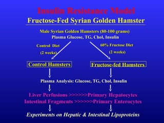Male Syrian Golden Hamsters (80-100 grams)Male Syrian Golden Hamsters (80-100 grams)
60% Fructose Diet60% Fructose Diet
(2 weeks)(2 weeks)
Control HamstersControl Hamsters
Control DietControl Diet
(2 weeks)(2 weeks)
Fructose-fed HamstersFructose-fed Hamsters
Plasma Analysis: Glucose, TG, Chol, InsulinPlasma Analysis: Glucose, TG, Chol, Insulin
Liver Perfusions >>>>>>Primary HepatocytesLiver Perfusions >>>>>>Primary Hepatocytes
Intestinal Fragments >>>>>>Primary EnterocytesIntestinal Fragments >>>>>>Primary Enterocytes
Experiments on Hepatic & Intestinal LipoproteinsExperiments on Hepatic & Intestinal Lipoproteins
Plasma Glucose, TG, Chol, InsulinPlasma Glucose, TG, Chol, Insulin
Insulin Resistance Model
Fructose-Fed Syrian Golden Hamster
 