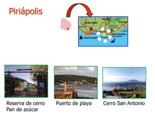 Piriápolis
Reserva de cerro
Pan de azúcar
Puerto de playa Cerro San Antonio