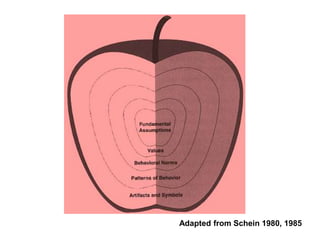 Adapted from Schein 1980, 1985
 