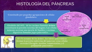 HISTOLOGÍA DEL PÁNCREAS
 
