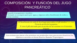 COMPOSICIÓN Y FUNCIÓN DEL JUGO
PANCREÁTICO
 