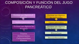 COMPOSICIÓN Y FUNCIÓN DEL JUGO
PANCREÁTICO
Enzimas que digieren el
Almidón
Enzimas que digieren las
Proteínas
Enzimas que digieren
los triglicéridos
Enzimas que digieren
los Ácidos nucleicos
Amilasa pancreática
Tripsina
Quimiotripsina
Carboxipeptidasa
Elastasa
Lipasa pancreática
Ribonucleasa
Desoxirribonucleasa
 