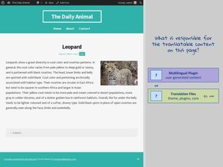 Multilingual Plugin
user generated content
Translation Files
theme, plugins, core
?
?
What is responsible for
the translatable content
on this page?
or
.po, .mo
 