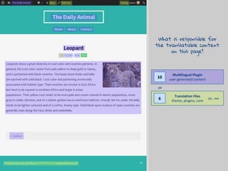 Multilingual Plugin
user generated content
Translation Files
theme, plugins, core
10
6
What is responsible for
the translatable content
on this page?
or
.po, .mo
 