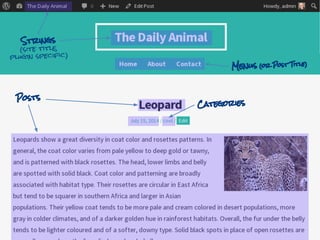 Posts
Menus (or Post Title)
Strings
(site title,
plugin specific)
Categories
 