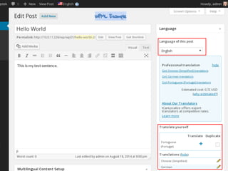 One post per language - paid
WPML Example
 