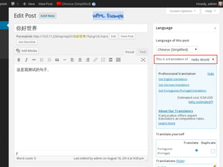 One post per language - paid
WPML Example
 