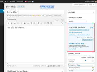 One post per language - paid
WPML Example
 