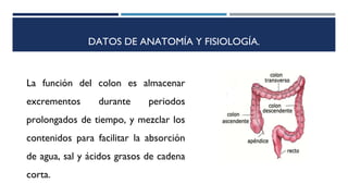 DATOS DE ANATOMÍA Y FISIOLOGÍA.
La función del colon es almacenar
excrementos durante periodos
prolongados de tiempo, y mezclar los
contenidos para facilitar la absorción
de agua, sal y ácidos grasos de cadena
corta.
 