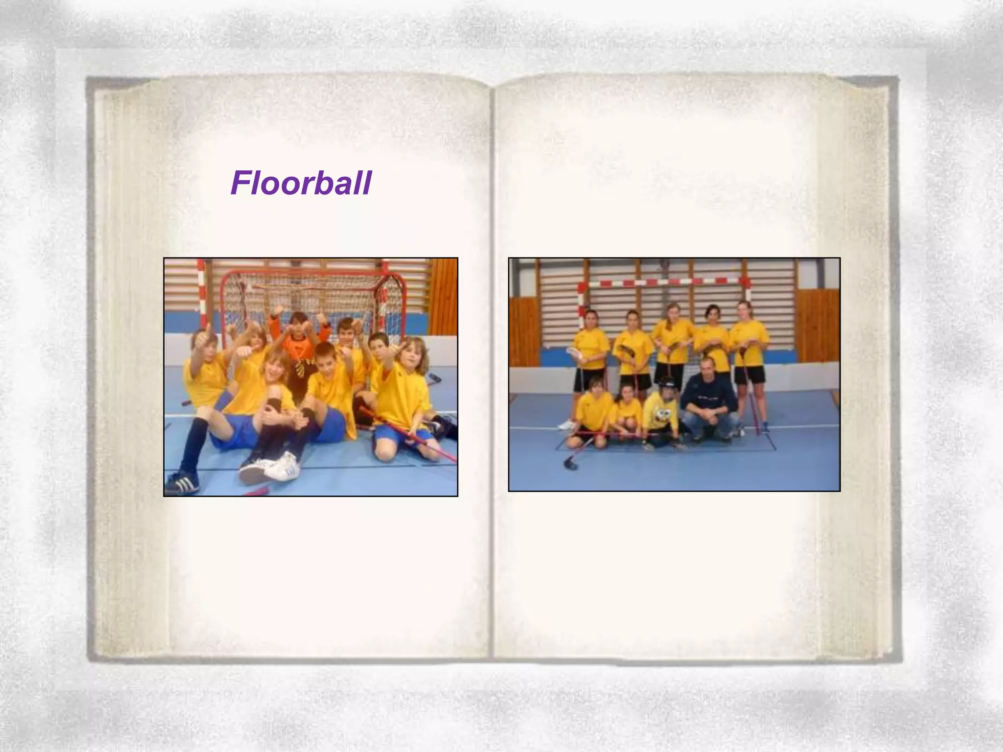 Floorball
 