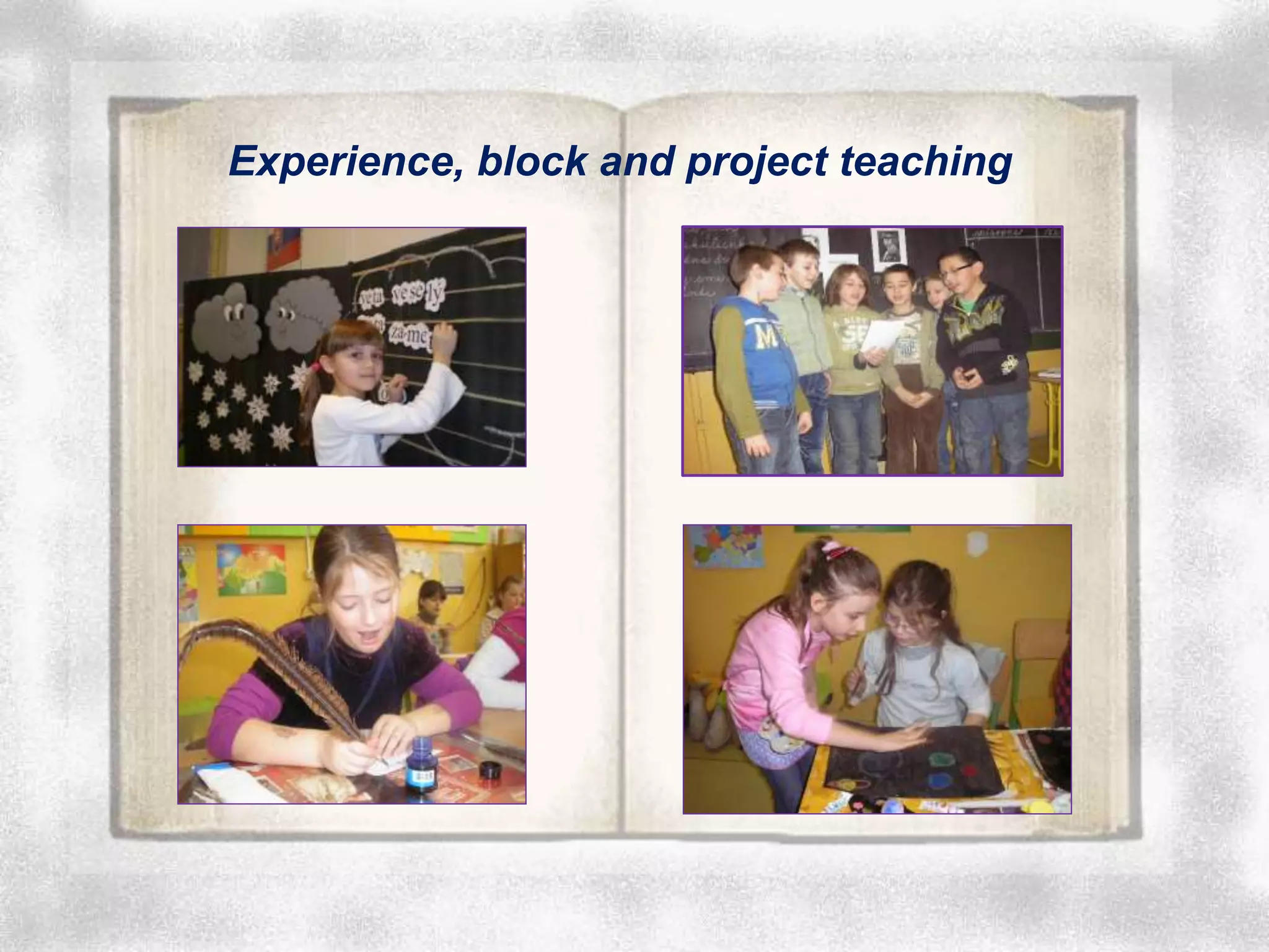 Experience, block and project teaching
 