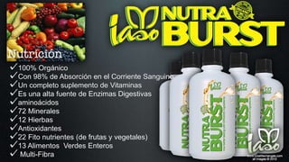 100% Orgánico
Con 98% de Absorción en el Corriente Sanguino
Un completo suplemento de Vitaminas
Es una alta fuente de Enzimas Digestivas
aminoácidos
72 Minerales
12 Hierbas
Antioxidantes
22 Fito nutrientes (de frutas y vegetales)
13 Alimentos Verdes Enteros
Multi-Fibra
 