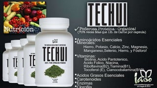 •Aminoácidos Esenciales
•Minerales:
Hierro, Potasio, Calcio, Zinc, Magnesio,
Manganeso,Selenio, Hierro, y Fósforo!
•Vitaminas:
Biotina, Acido Pantotenico,
Acido Folico, Niacina,
Riboflavina(B2),Tiamina(B1),
Tocoferol (E), Cianocobalamina(B12)
•Acidos Grasos Esenciales
•Carotenoides
•Enzimas
 
