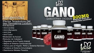 •Anti-Bacterial
• Anti-Candida
• Anti-Inflamatorio
• Anti-Viral
• Anti-Tumor
•Moderador de Azúcar
•Reductor de Colesterol
• Regulador de la Presión Arterial
• Mejora el Sistema Cardiovascular
• Tónico para el Hígado, Riñón y Sistema Nervioso
• Fortalece el Sistema Inmunologico
• Desintoxica Metales Pesados
Efectos Terapéuticos Del
iaso Ganoderma Lucidum:
 
