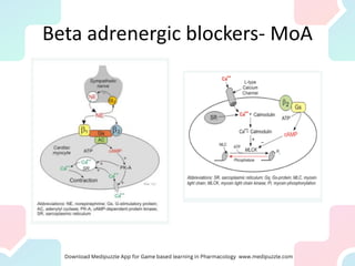 Beta adrenergic blockers- MoA
 