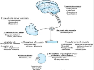 Antihypertensive
drugs
 
