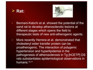  Rat:
- Bennani-Kabchi et al. showed the potential of the
sand rat to develop atherosclerotic lesions at
different stages which opens the field to
therapeutic tests of new anti-atherogenic agents.
- More recently Herrera et al. demonstrated that
cholesteryl ester transfer protein can be
proatherogenic. The interaction of polygenic
hypertension and hyperlipidemia in the
pathogenesis of atherosclerosis in Tg [hCETP] DS
rats substantiates epidemiological observations in
humans.10,11
 