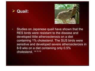  Quail:
- Studies on Japanese quail have shown that the
RES birds were resistant to the disease and
developed little atherosclerosis on a diet
containing 1% cholesterol. The SUS birds were
sensitive and developed severe atherosclerosis in
8-9 wks on a diet containing only 0.5%
cholesterol. 14,15,16
 