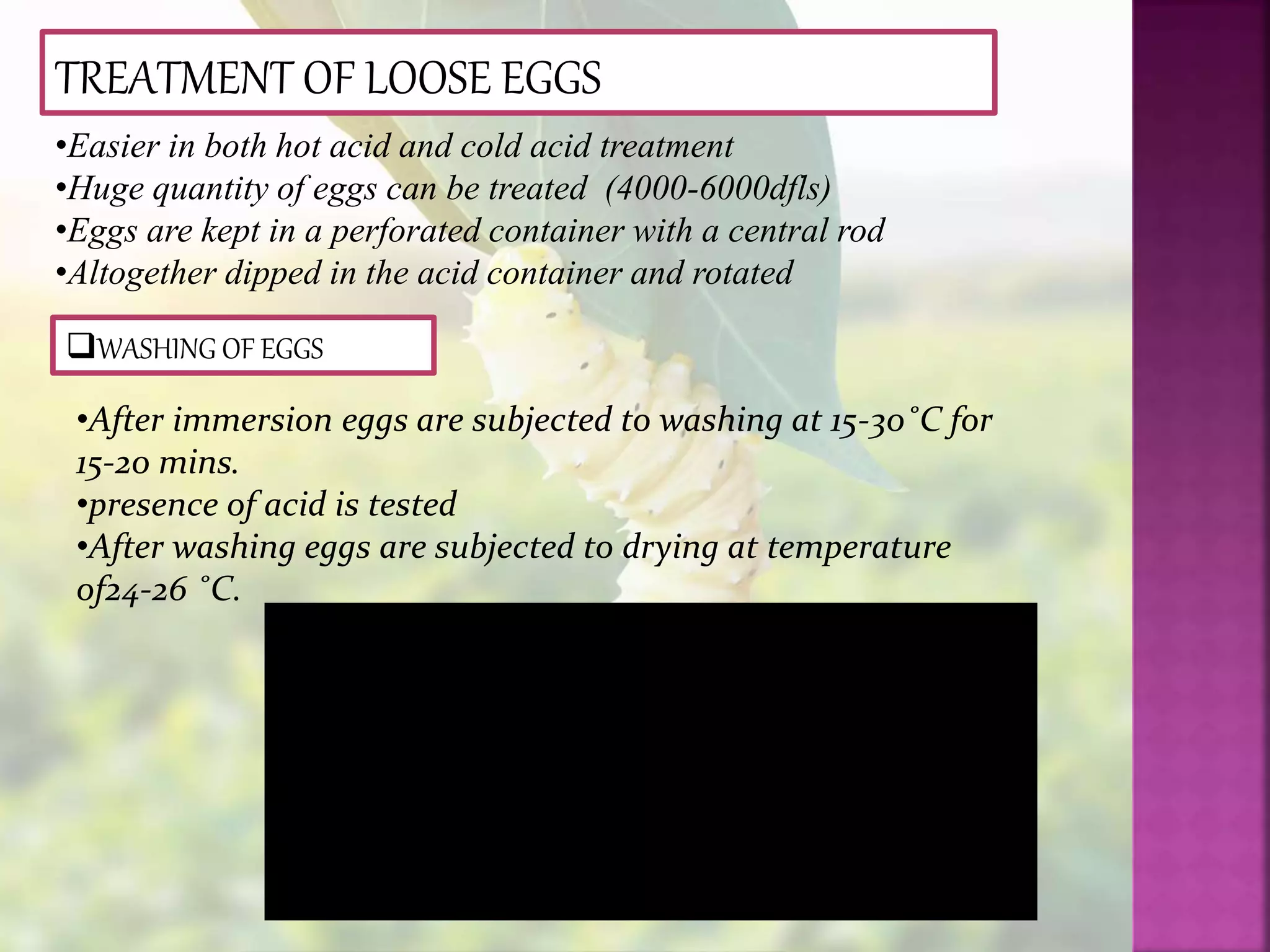 TREATMENT OF LOOSE EGGS
•Easier in both hot acid and cold acid treatment
•Huge quantity of eggs can be treated (4000-6000dfls)
•Eggs are kept in a perforated container with a central rod
•Altogether dipped in the acid container and rotated
WASHING OF EGGS
•After immersion eggs are subjected to washing at 15-30˚C for
15-20 mins.
•presence of acid is tested
•After washing eggs are subjected to drying at temperature
of24-26 ˚C.
 