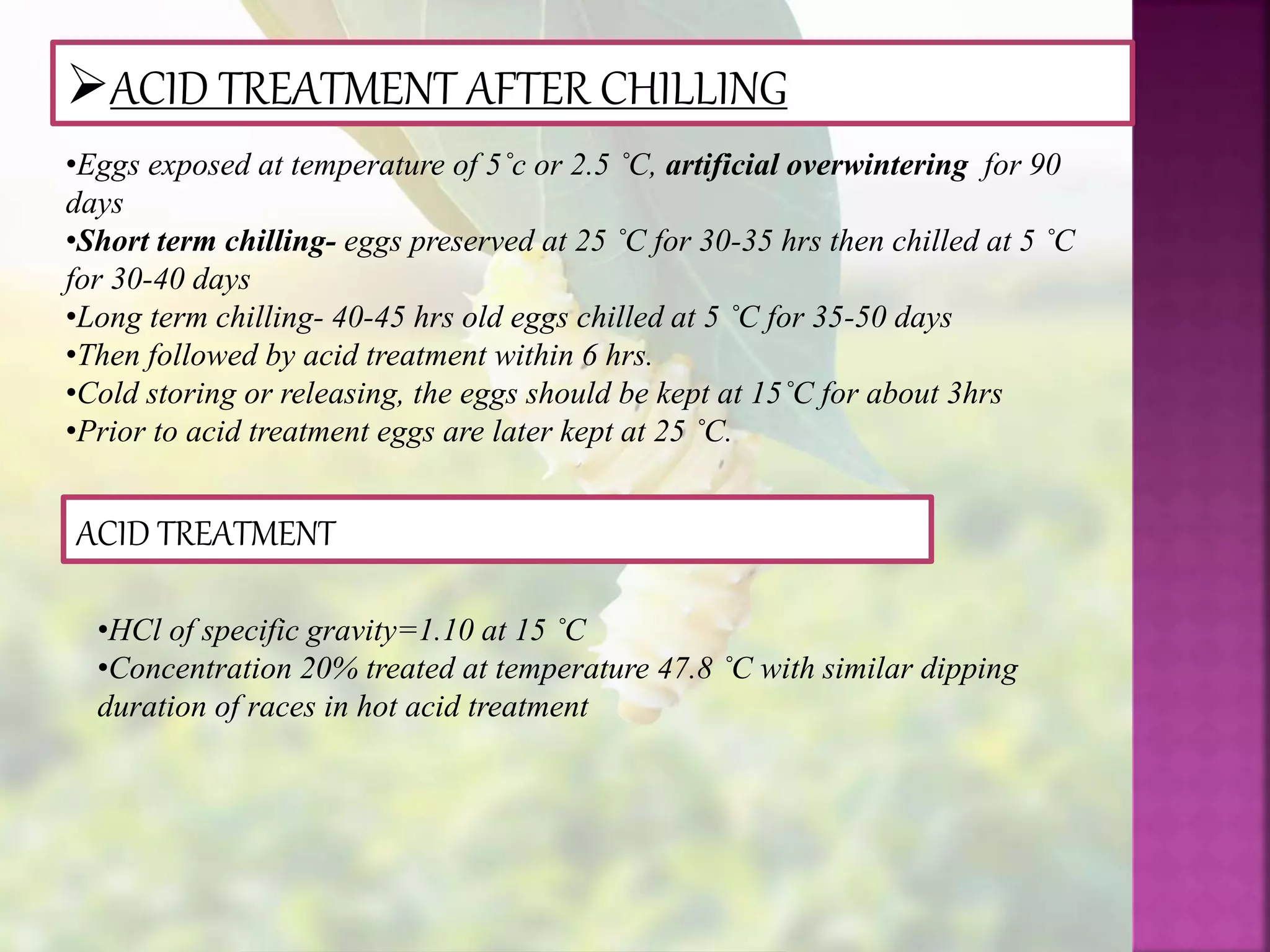 ACID TREATMENT AFTER CHILLING
•Eggs exposed at temperature of 5˚c or 2.5 ˚C, artificial overwintering for 90
days
•Short term chilling- eggs preserved at 25 ˚C for 30-35 hrs then chilled at 5 ˚C
for 30-40 days
•Long term chilling- 40-45 hrs old eggs chilled at 5 ˚C for 35-50 days
•Then followed by acid treatment within 6 hrs.
•Cold storing or releasing, the eggs should be kept at 15˚C for about 3hrs
•Prior to acid treatment eggs are later kept at 25 ˚C.
•HCl of specific gravity=1.10 at 15 ˚C
•Concentration 20% treated at temperature 47.8 ˚C with similar dipping
duration of races in hot acid treatment
ACID TREATMENT
 