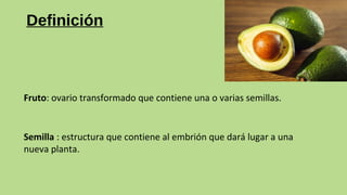 Definición
Semilla : estructura que contiene al embrión que dará lugar a una
nueva planta.
Fruto: ovario transformado que contiene una o varias semillas.