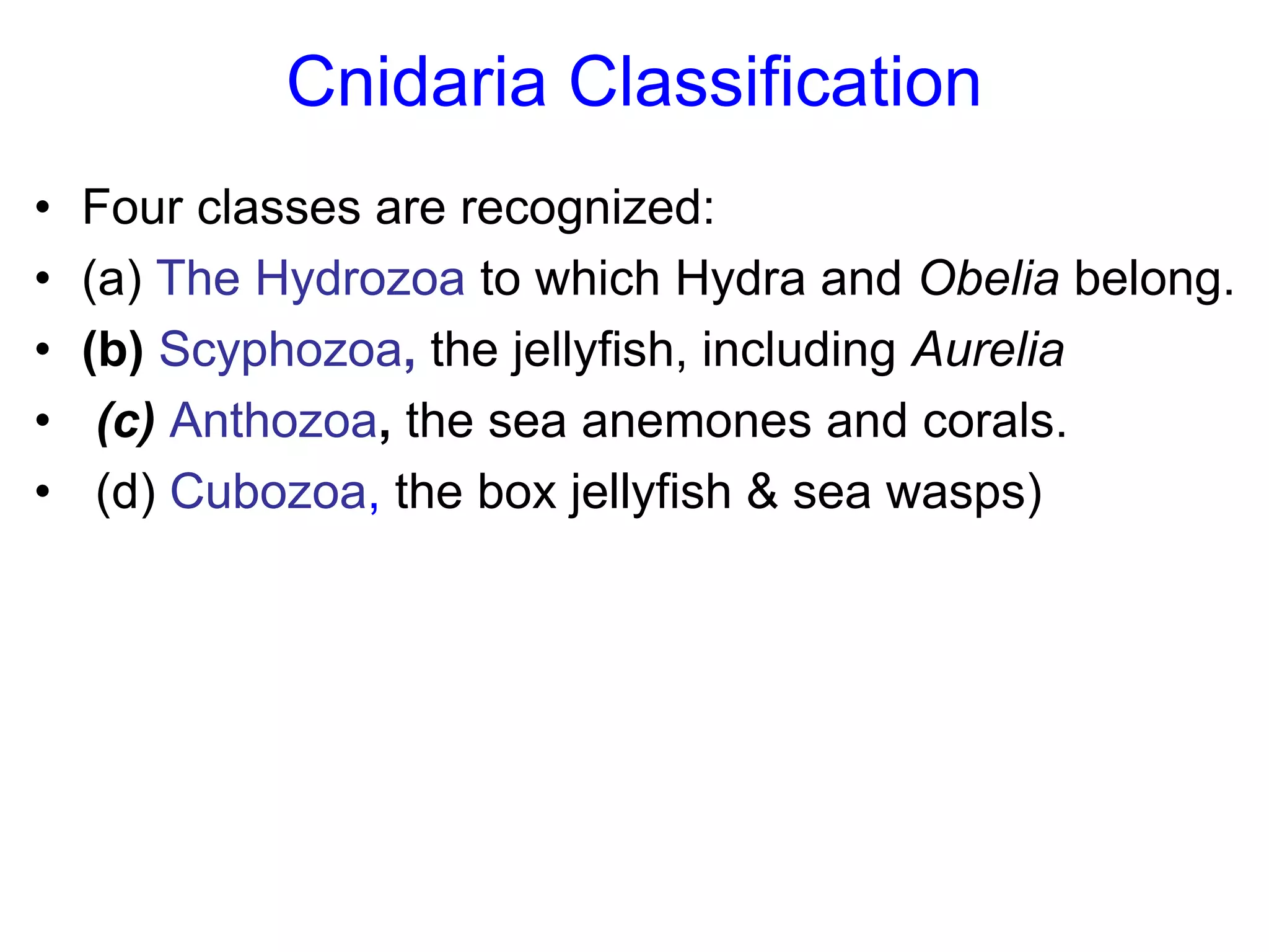 Cnidaria Classification
• Four classes are recognized:
• (a) The Hydrozoa to which Hydra and Obelia belong.
• (b) Scyphozoa, the jellyfish, including Aurelia
• (c) Anthozoa, the sea anemones and corals.
• (d) Cubozoa, the box jellyfish & sea wasps)
 