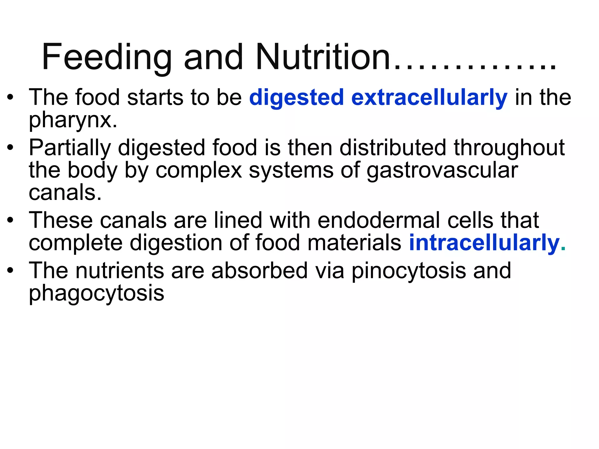 Feeding and Nutrition…………..
• The food starts to be digested extracellularly in the
pharynx.
• Partially digested food is then distributed throughout
the body by complex systems of gastrovascular
canals.
• These canals are lined with endodermal cells that
complete digestion of food materials intracellularly.
• The nutrients are absorbed via pinocytosis and
phagocytosis
 