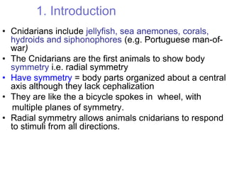 1. Introduction
• Cnidarians include jellyfish, sea anemones, corals,
hydroids and siphonophores (e.g. Portuguese man-of-
...