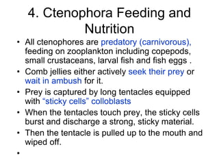 5. Reproduction in Ctenophora
• Ctenophora reproduce sexually, with the
exception of species of the order Platyctenida.
• ...