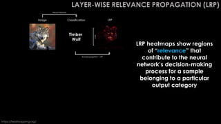 LAYER-WISE RELEVANCE PROPAGATION (LRP)
Volcano
Great White
Shark
Timber
Wolf
Image Classification LRP
https://heatmapping.org/
LRP heatmaps show regions
of “relevance” that
contribute to the neural
network’s decision-making
process for a sample
belonging to a particular
output category
Neural Network
WHY
WHY
WHY
Backpropagation – LRP
 