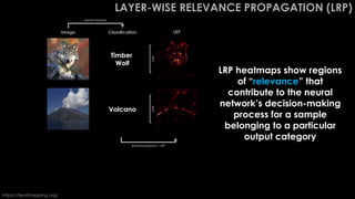 LAYER-WISE RELEVANCE PROPAGATION (LRP)
Volcano
Great White
Shark
Timber
Wolf
Image Classification LRP
https://heatmapping.org/
LRP heatmaps show regions
of “relevance” that
contribute to the neural
network’s decision-making
process for a sample
belonging to a particular
output category
Neural Network
WHY
WHY
WHY
Backpropagation – LRP
 