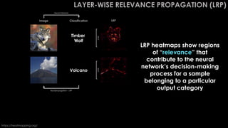 LAYER-WISE RELEVANCE PROPAGATION (LRP)
Volcano
Great White
Shark
Timber
Wolf
Image Classification LRP
https://heatmapping.org/
LRP heatmaps show regions
of “relevance” that
contribute to the neural
network’s decision-making
process for a sample
belonging to a particular
output category
Neural Network
WHY
WHY
WHY
Backpropagation – LRP
 
