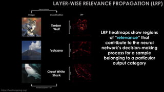 LAYER-WISE RELEVANCE PROPAGATION (LRP)
Volcano
Great White
Shark
Timber
Wolf
Image Classification LRP
https://heatmapping.org/
LRP heatmaps show regions
of “relevance” that
contribute to the neural
network’s decision-making
process for a sample
belonging to a particular
output category
Neural Network
Backpropagation – LRP
WHY
WHY
WHY
 
