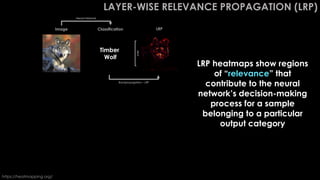 LAYER-WISE RELEVANCE PROPAGATION (LRP)
Volcano
Great White
Shark
Timber
Wolf
Image Classification LRP
https://heatmapping....