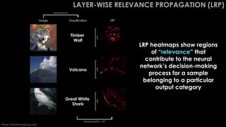 LAYER-WISE RELEVANCE PROPAGATION (LRP)
Volcano
Great White
Shark
Timber
Wolf
Image Classification LRP
https://heatmapping....