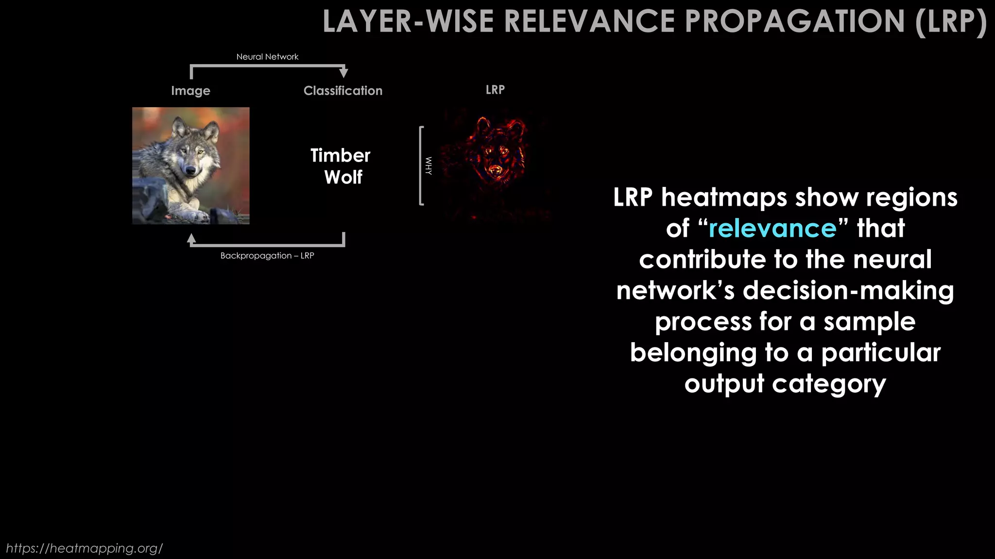 LAYER-WISE RELEVANCE PROPAGATION (LRP)
Volcano
Great White
Shark
Timber
Wolf
Image Classification LRP
https://heatmapping.org/
LRP heatmaps show regions
of “relevance” that
contribute to the neural
network’s decision-making
process for a sample
belonging to a particular
output category
Neural Network
WHY
WHY
WHY
Backpropagation – LRP
 