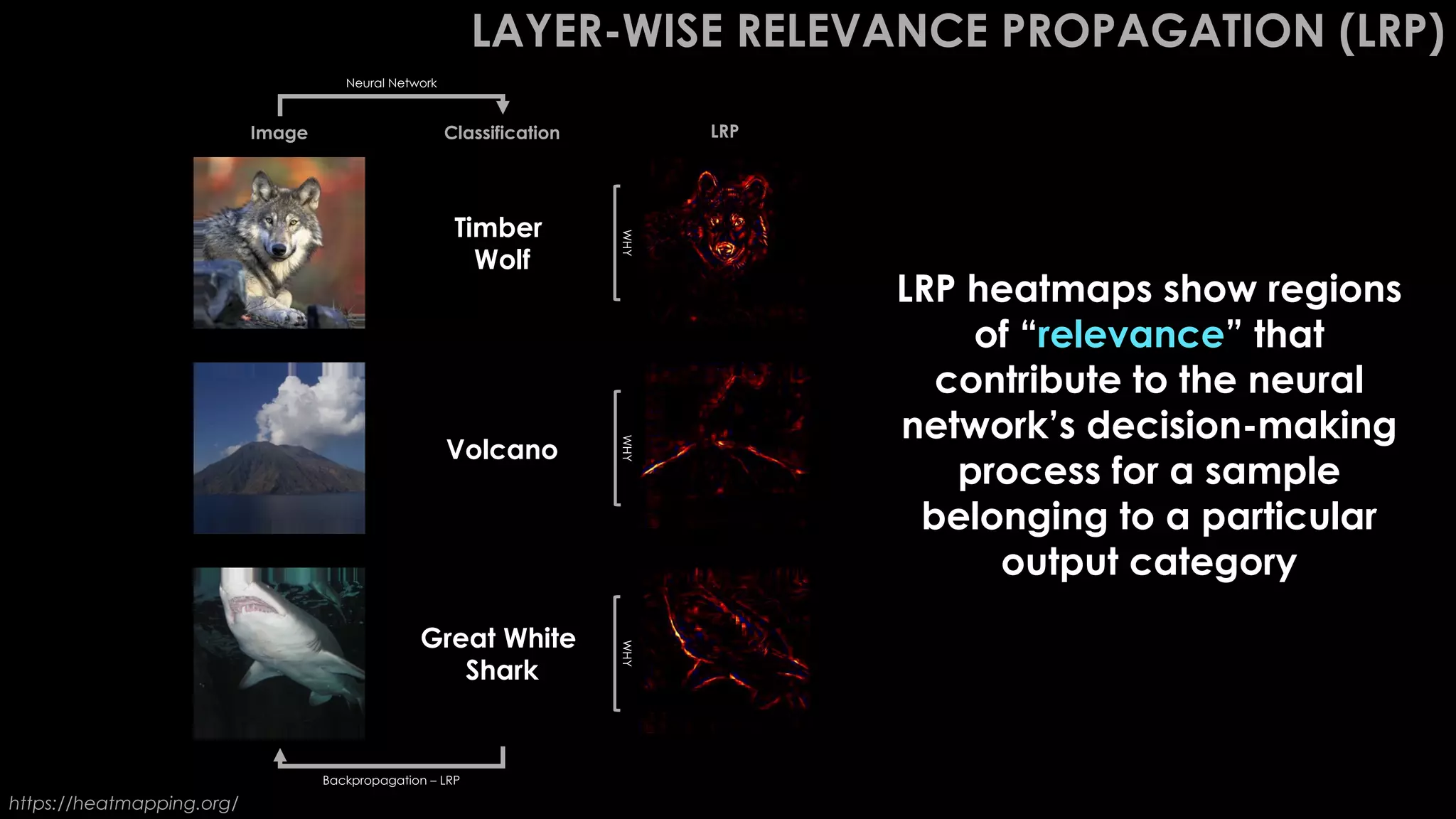 LAYER-WISE RELEVANCE PROPAGATION (LRP)
Volcano
Great White
Shark
Timber
Wolf
Image Classification LRP
https://heatmapping.org/
LRP heatmaps show regions
of “relevance” that
contribute to the neural
network’s decision-making
process for a sample
belonging to a particular
output category
Neural Network
Backpropagation – LRP
WHY
WHY
WHY
 
