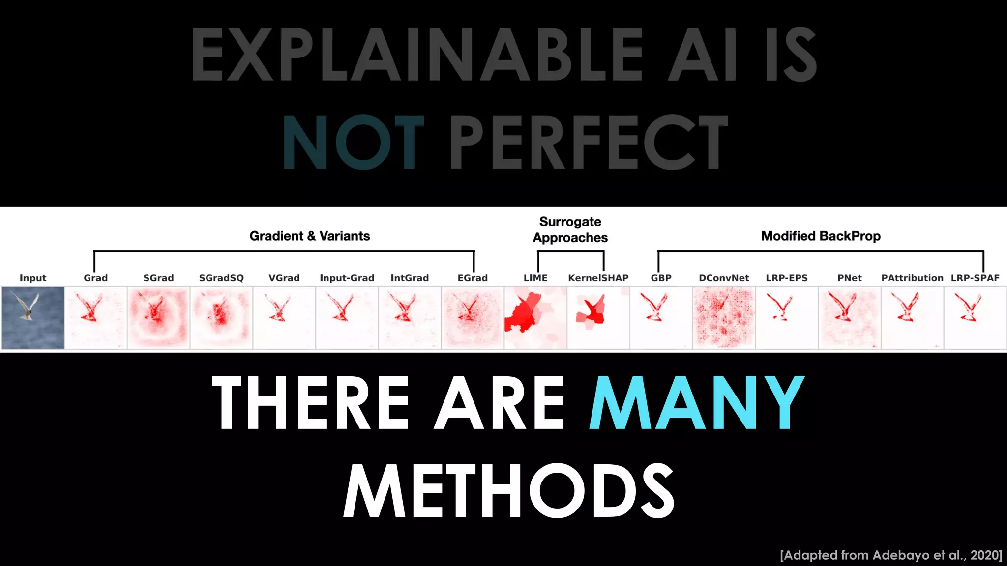[Adapted from Adebayo et al., 2020]
THERE ARE MANY
METHODS
EXPLAINABLE AI IS
NOT PERFECT
 