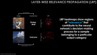WHY
LAYER-WISE RELEVANCE PROPAGATION (LRP)
Volcano
Timber
Wolf
Image Classification LRP
LRP heatmaps show regions
of “relevance” that
contribute to the neural
network’s decision-making
process for a sample
belonging to a particular
output category
Neural Network
WHY
Backpropagation – LRP
https://heatmapping.org/
 