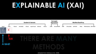 EXPLAINABLE AI (XAI)
THERE ARE MANY
METHODS
A bird!
XAI
[Adapted from Adebayo et al., 2020]
 