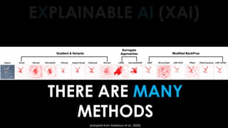 THERE ARE MANY
METHODS
EXPLAINABLE AI (XAI)
[Adapted from Adebayo et al., 2020]
 