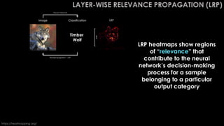 LAYER-WISE RELEVANCE PROPAGATION (LRP)
Volcano
Great White
Shark
Timber
Wolf
Image Classification LRP
https://heatmapping.org/
LRP heatmaps show regions
of “relevance” that
contribute to the neural
network’s decision-making
process for a sample
belonging to a particular
output category
Neural Network
WHY
WHY
WHY
Backpropagation – LRP
 