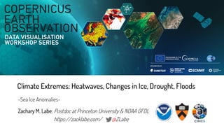 Zachary M. Labe; Postdoc at Princeton University & NOAA GFDL
https://zacklabe.com/ @ZLabe
Climate Extremes: Heatwaves, Changes in Ice, Drought, Floods
-Sea Ice Anomalies-
 
