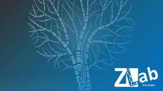 ZLab v 2.11
