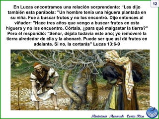 Ministerio Menorah Costa Rica
12
En Lucas encontramos una relación sorprendente: “Les dijo
también esta parábola: "Un hombre tenía una higuera plantada en
su viña. Fue a buscar frutos y no los encontró. Dijo entonces al
viñador: "Hace tres años que vengo a buscar frutos en esta
higuera y no los encuentro. Córtala, ¿para qué malgastar la tierra?"
Pero él respondió: "Señor, déjala todavía este año; yo removeré la
tierra alrededor de ella y la abonaré. Puede ser que así dé frutos en
adelante. Si no, la cortarás" Lucas 13:6-9
 