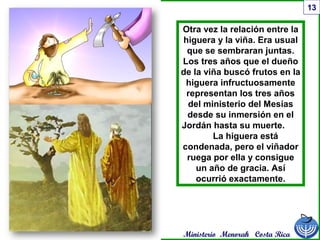 Ministerio Menorah Costa Rica
13
Otra vez la relación entre la
higuera y la viña. Era usual
que se sembraran juntas.
Los tres años que el dueño
de la viña buscó frutos en la
higuera infructuosamente
representan los tres años
del ministerio del Mesías
desde su inmersión en el
Jordán hasta su muerte.
La higuera está
condenada, pero el viñador
ruega por ella y consigue
un año de gracia. Así
ocurrió exactamente.
 