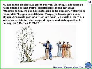Ministerio Menorah Costa Rica
31
“A la mañana siguiente, al pasar otra vez, vieron que la higuera se
había secado de raíz. Pedro, acordándose, dijo a YaHShúa:
"Maestro, la higuera que has maldecido se ha secado". YaHShúa le
respondió: "Tengan fe en Elohim. Porque yo les aseguro que si
alguien dice a esta montaña: "Retírate de ahí y arrójate al mar", sin
vacilar en su interior, sino creyendo que sucederá lo que dice, lo
conseguirá.” Marcos 11:21-23
 